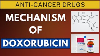 Mechanism of Doxorubicin amp Daunorubicin [upl. by Leakim738]