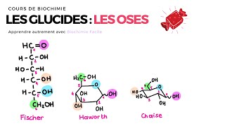 GLUCIDES  LES OSES 🍬 Biochimie Facile [upl. by Ellerol]