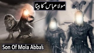 Hazrat Abbas Ka Beta Muhammad Bin Abbas as Ki Shahadat  Son Of Hazrat Abbas as  Raja Sarfaraz Tv [upl. by Seem252]