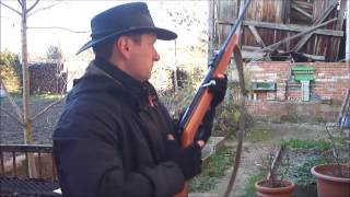 Luftgewehr Haenel 310 Plinking [upl. by Hedy942]