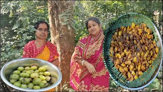 বাড়ির গাছ থেকে আমলকি পেড়ে বানালাম দারুন স্বাদের আচার  Amlokir tak jhal achar [upl. by Linnette834]