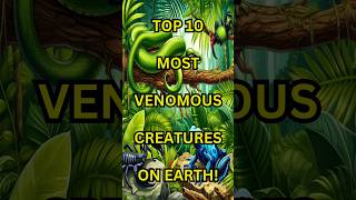 Top 10 Most Venomous Creatures on Earth [upl. by Eudo]