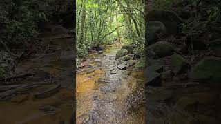 Creek nature hikking asmr 4knature naturehike natureza trailrun waterfall [upl. by Einiar]