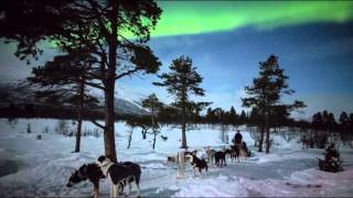 Aurora Borealis Kiruna in Swedish Lapland [upl. by Ahsiuqal]