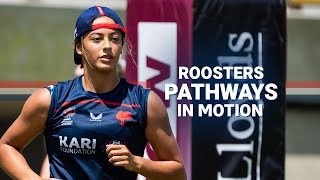 Roosters Pathways in Motion [upl. by Schou]