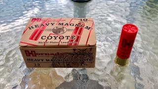 Hornady Heavy Magnum Coyote 12 Gauge 3” 15 Ounces Lead BB  Breakdown [upl. by Kcirdahs351]