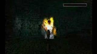 Tomb Raider 3 Speedrun  Temple Ruins Part 2 [upl. by Ecyt538]