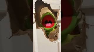 Elmo And Kermit Break The Door Open [upl. by Vyner]