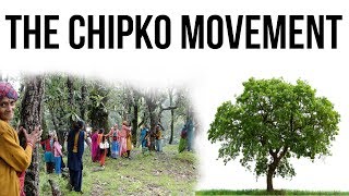 What is Chipko Movement चिपको आंदोलन और वन संरक्षण Peoples Participation in Forest Conservation [upl. by Kalbli120]