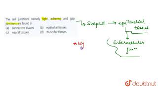 Pseudostratified epithelium is found in [upl. by Aidualk]