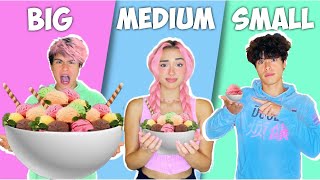 Big VS Medium VS Small Food Challenge [upl. by Erkan]