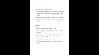 Juxtaglomerular apparatus notes 🗒️ PHYSIOLOGY medicalconcepts28 [upl. by Gaw]