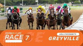 20241101 Hollywoodbets Greyville Race 7 won by FUTURE FLO [upl. by Anders52]