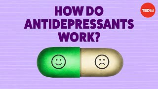 How do antidepressants work  Neil R Jeyasingam [upl. by Potter]