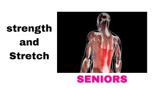 Strength and Stretch Workout for Seniors [upl. by Sarchet990]