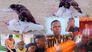 WHITE DOVE 🕊️ part2 ndungu yangu alinitokea Kwa Ndoto 2 am white 🔥black dove on fight Babasteve1 [upl. by Naoj]