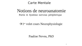 Neurophysiologie  carte mentale 003d – Neuroanatomie – Dr Pauline Neveu [upl. by Aerdnaed724]