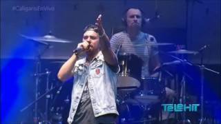 Los Caligaris  Tyson Plaza Condesa En Vivo Telehit [upl. by Mikal]