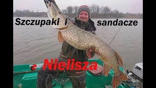 Szczupaki i sandacze z Nielisza Kilka przemyśleń na temat zbiornika [upl. by Prosperus762]