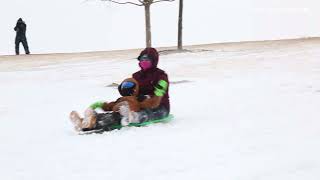 Shoveling salting and sledding OKC residents handle the winter storm [upl. by Ahsilra]