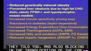 Role of StearoylCoA Desaturase1 in Metabolism Implication in Human Diseases [upl. by Carmela660]