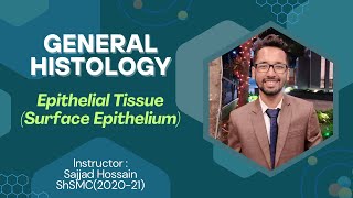 Epithelial Tissue Surface Epithelium  Histology Basic Lecture  Explained in Bangla [upl. by Yelrebma]