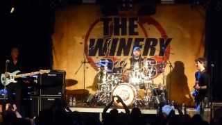 The Winery Dogs  Fooled Around And Fell In Love  Desire 2013 [upl. by Tamer]