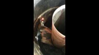 Rocket stove 45 gal water heater part1 [upl. by Viv226]