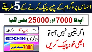 Ehsaas Program Ke Paise Kaise Check Karen  BISP Payment Check By CNIC  7000 Check Karne Ka Tarika [upl. by Ernaldus]