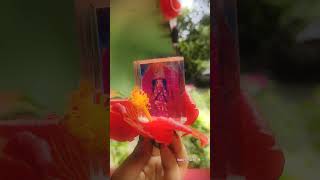 Maro Payarsa Maa Tara Darsan 🌺🙏🏻Maa Tara 🌺💞 [upl. by Bannerman684]