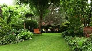 Moderne Gartengestaltung mit Pflanzen [upl. by Cuthburt]