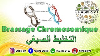 BRASSAGE CHROMOSOMIQUE [upl. by Manya246]