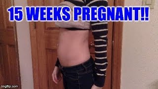 15 Weeks Pregnant [upl. by Omidyar]