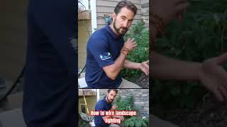 Beginner Tip for Wiring Your Low Voltage Landscape Lighting diy landscapelighting [upl. by Batruk]