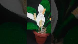 20 Crochet Peace Lily indoor plant Handmade Home Decor [upl. by Htrahddis]