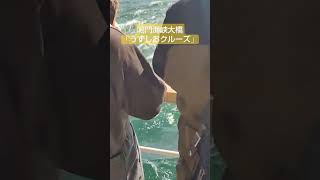 【うずしおクルーズ鳴門海峡大橋】 鳴門 渦 うずしおクルーズ 鳴門海峡大橋 淡路島 タマネギ 夏休み [upl. by Ytinirt183]