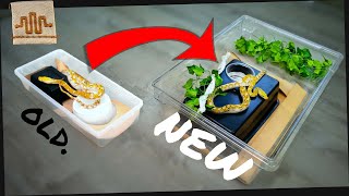 Creating a BETTER DIY Snake Enclosure [upl. by Nhguaval671]