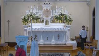 Easter Catholic Mass for March 31 2024 830 AM Mass [upl. by Marlyn]