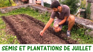 QUE SEMER ET PLANTER EN JUILLET [upl. by Togram]