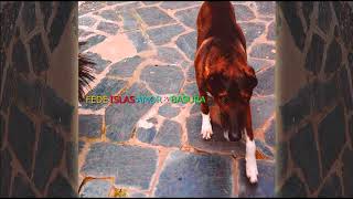 Fede Islas  Amor y Basura Full EP [upl. by Nelon409]