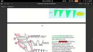 physiologie respiratoire centre respiratoire [upl. by Barimah]