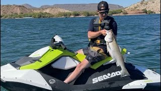 2023 Sea Doo Spark 90HP W IBR Review [upl. by Brodsky975]