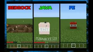 minecraft bedrock vs java vs pocket [upl. by Nnahs]