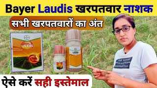 खरपतवार का 100 नियंत्रण  laudis herbicide  bayer laudis  best corn herbicide spray  laudis [upl. by Pippas]