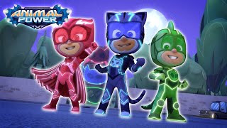 PJ Masks Full Episodes Season 4 ⭐️ Motsukis Missing Sister ⭐️ PJ Masks New Episodes 2022 [upl. by Nahtanaj]