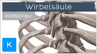 Wirbelsäule Aufbau und Funktion Vorschau  Kenhub [upl. by Ennaeus667]