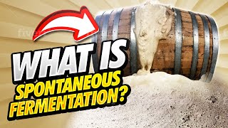 How Lambic Is Fermented with 3 Fonteinen Spontaneous Fermentation Explained [upl. by Iney]