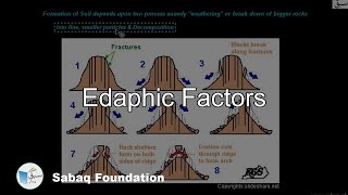 Edaphic Factors Biology Lecture  Sabaqpk [upl. by Eeslehc]