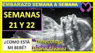 SEMANA 21 Y 22 DE EMBARAZO SEMANA A SEMANA POR GINECOLOGA DIANA ALVAREZ [upl. by Tews]