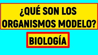 ORGANISMOS MODELO ¿Qué son Fácil y Rápido [upl. by Tarrant]